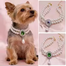 Collier de perle pour petit chien et chat
